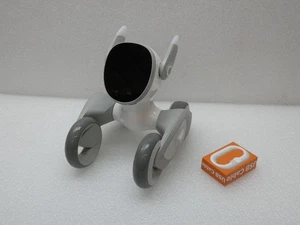 Robot Loona Pet funzionante testato - Foto 1 di 7