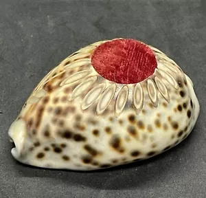 Vintage Antique Pin Cushion Cowrie Sea Shell Red Velvet Souvenir Kansas - Picture 1 of 14