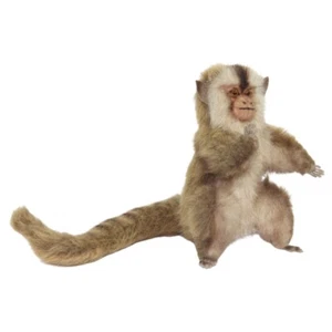 Pygmy Mrmoset - Hansa Realistic Stuffed Plush Animal Soft Toy 21cm - Picture 1 of 1