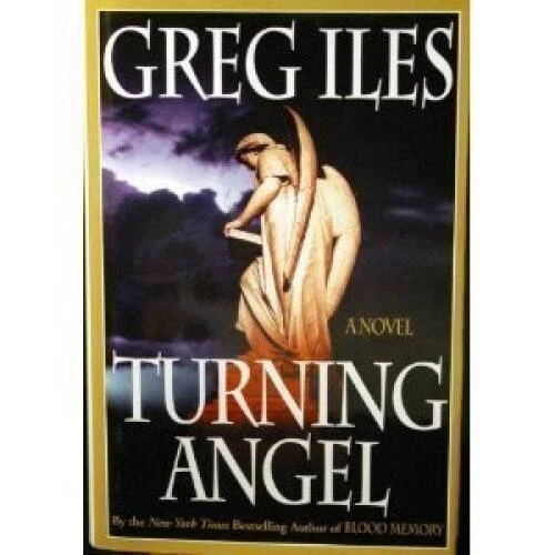 Turning Angel - Hardcover By Iles, Greg - VERY GOOD - Image 1 of 1