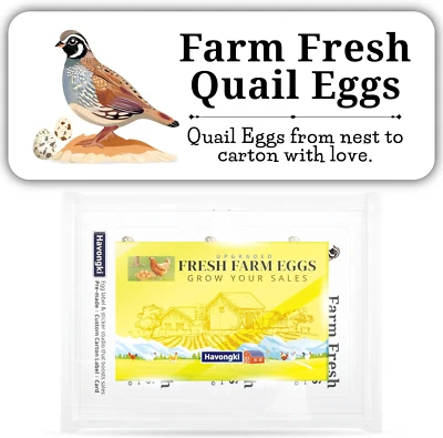 120 etiquetas adhesivas de cartón de huevos Quial | blancas | huevos frescos de granja | 4 6 12 15 18 30 Foto 1 de 4