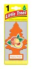 Little Trees UIP-10319 Orange Peachy Peach Car Air Freshener (Pack of 24)