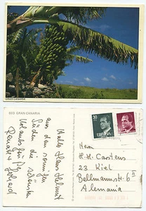 21325 - Bananenstaude - Gran Canaria - Ansichtskarte, gelaufen - Picture 1 of 1