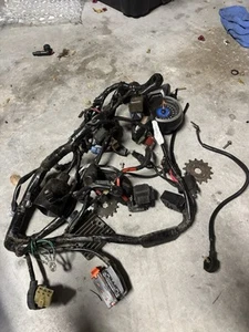 2012 Honda CBR250R | Main ECU Wiring Harness | Used OEM - Picture 1 of 3