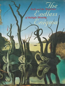 THE ENDLESS ENIGMA: DALI AND THE MAGICIANS OF MULTIPLE MEANING (2000'S) ARTBOOK - Picture 1 of 1