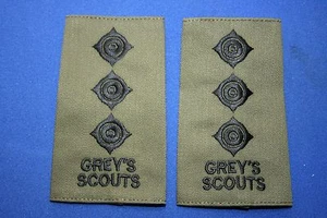 RHODESIAN RHODESIA ARMY GREY'S GREYS SCOUTS CAPTAIN RANK EPAULETTE'S SLIDES - Picture 1 of 1