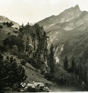 Deutschland Bayerisches Hochland Schneck & Himmelseck altes NPG Stereo Foto 1900 - Bild 1 von 3