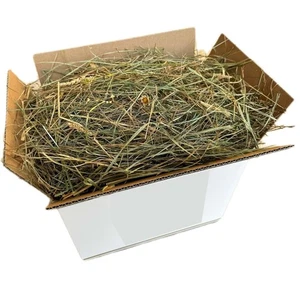 Fieno Naturale 1 kg | Alimento per Porcellini India, Cincillà, Conigli e Polli - Foto 1 di 2