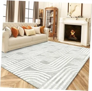 Washable Area Rug, Modern Rugs 8x10 Large Living Room Rug, Non Slip Soft - Picture 1 of 8