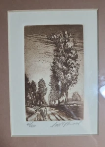 Landschaft Landstraße Scott Fitzgerald Aquatinta Radierung gerahmt 19,5" x 11,5" - Bild 1 von 5