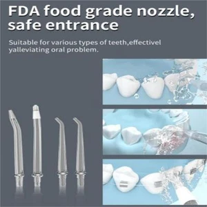 General Water Flosser Nozzle for H100/H200/H300 2 Units Pack - Picture 1 of 2