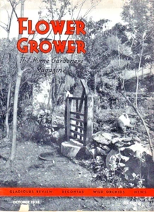 Blumenzüchter - Die Hausgärtner Zeitschrift Okt. 1938 Vol. 25 Nr. 10 Vintage - Bild 1 von 3