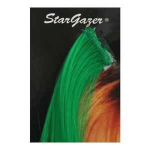 Extension Cheveux Pince Couleurs Stargazer Déguisement Brillant Nouveauté Vert