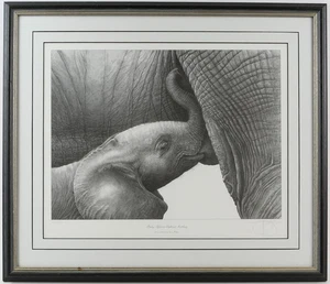 GARY HODGES, 'BABY AFRICAN ELEPHANT SUCKLING', LIMITED EDITION PRINT, SIGNED - Picture 1 of 2