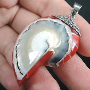 925 Sterling Silver Large Red Nautilus Shell Pendant Hand Made Jewelry NSP-259 - Picture 1 of 5
