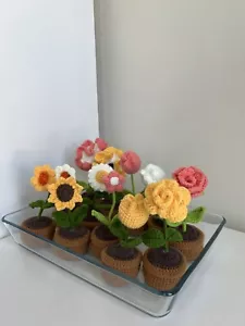 Fluffy Crochet Flowers Small Pots - Picture 1 of 13