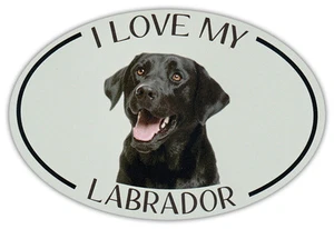 Oval Dog Breed Picture Car Magnet - I Love My Labrador (Black Lab) - Magnet - Picture 1 of 1