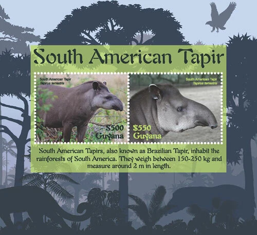 Guyana 2018 - Tapir sudamericano - Hoja de estampillas de recuerdo - Scott 4590 - MNH Foto 1 de 1