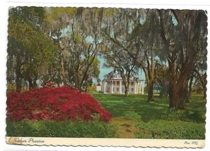 VTG Postcard - Southern Plantation 4 x 6" - Picture 1 of 2