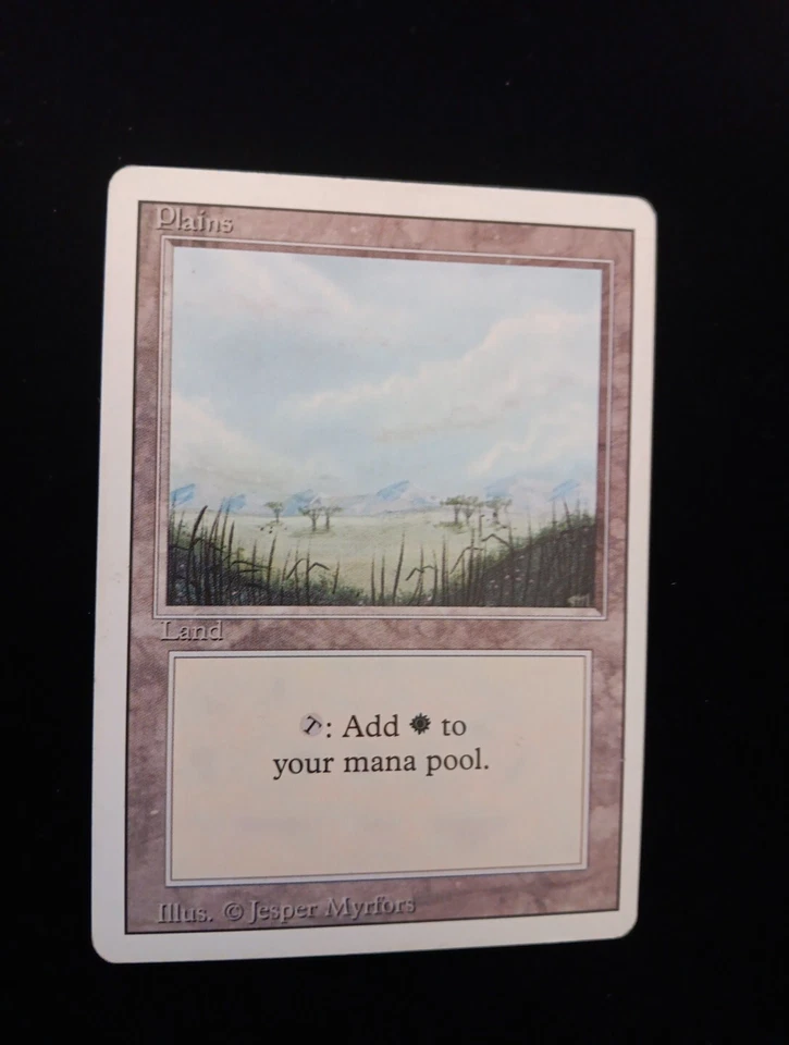 MTG Magic the Gathering Plains (289/302) From the 1990s LP - Image 1 of 1