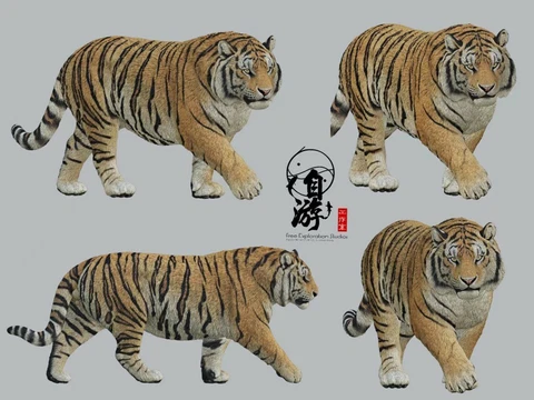 Panthera tigris altaica Siberian Tiger Model Felidae Animal Amur Tiger GK Toy Cover