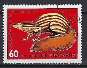 Bulgarie 1985 (2) Animaux Sauvages Yvert n° 2897 oblitérés - Imagen 1 de 1