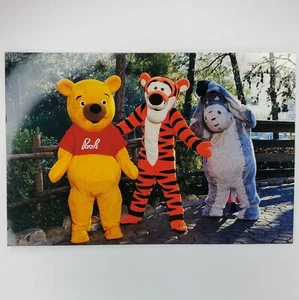 Magic Kingdom Postcard Walt Disney World Winnie the Pooh Eeyore Tigger - Picture 1 of 2