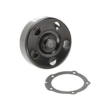 Bomba de agua Dayco 2007 2008 2009 motor V8 5,3 L para Chevrolet Impala 2006-2009 Foto 1 de 2