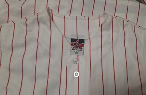 Sleeveless Baseball Jersey- Pinstripe (WHITE / RED) LARGE YOUTH SIZE ONLY - Picture 1 of 2