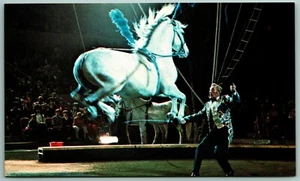 Kingdom of Horses Ringling Bros Barnum & Baily Circus UNP Chrome Postcard J8 - Picture 1 of 2