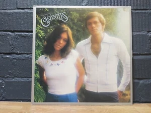 Carpenters Horizon 12" Vinyl LP ALBUM RECORD & INNER FLAP SLEEVE Vintage Retro - Imagen 1 de 4