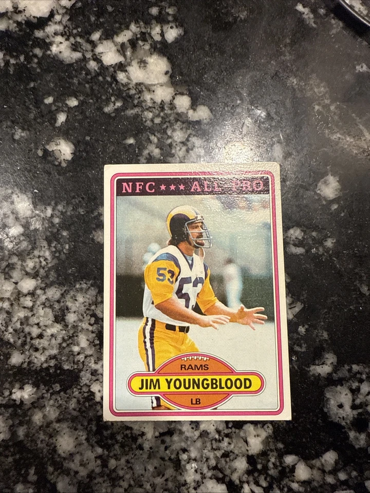 1981 APBA Football 1980 Season Jim Youngblood - Image 1 of 1