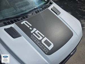 FITS 2021-2025 Ford F150 Platinum/Tremor Hood Stripe Vinyl Sticker Decal V2 - Bild 1 von 16