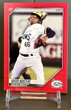 2022 Carolina Mudcats Junior Montero 