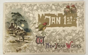 Vintage John Winsch Postcard 1910 New Years  Embossed Scenery Snow Birds - Picture 1 of 2