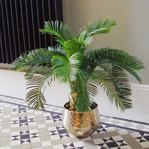 Palm Tree Artificial Cycas 60cm Realistic Leaf Design - Picture 1 of 5