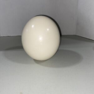 Genuine Blown Out Ostrich Egg Empty Shell 5 7/8â€� x 4 3/4"