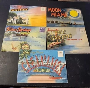 TALLAHASSEE Miami +  FLORIDA SOUVENIR FOLDER POSTCARD FOLD OUT Vtg Lot 5 - Picture 1 of 22