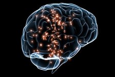 Poster, Many Sizes; Neuronal Activity Darpa #031215