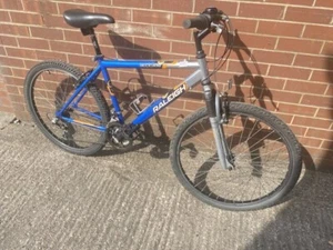 Raleigh Mountain Bike - Picture 1 of 19