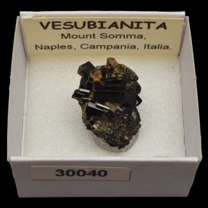 VESUBIANITA (Mount Somma, Naples, Campania, Italia) #30040 / Vesubianite - Bild 1 von 1