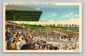 Vintage Postkarte Winterrennen im Hialeah Park, Miami, Florida - Bild 1 von 2