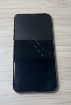 Repuesto de pantalla de vidrio agrietado iPhone X Apple OEM - Sombra Foto 1 de 4