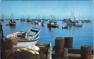 Alte Monterey Harbor Monterey Kalifornien Postkarte C-99 unbesendet - Bild 1 von 2