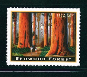 US Scott #4378 2009 Redwood Forest / Priority Mail MNH - Picture 1 of 1