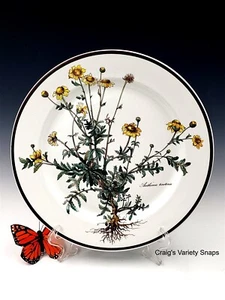 Villeroy Boch Porzellan Botanica Ersatz Speiseteller Golden Marguerite, BRN - Bild 1 von 14