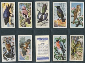 BROOKE BOND - BIRD PORTRAITS (No Address & With Address) - PICK YOUR CARD