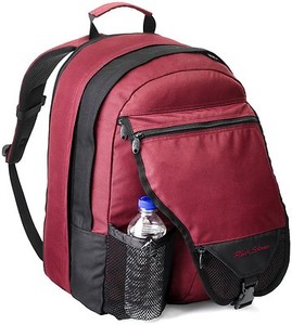 rick steves rolling backpack