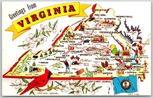 Greetings From Virginia Map Cardinal State Bird State Flower Dogwood Postcard - Bild 1 von 2