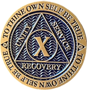 10 Year AA Medallion Reflex Antique and Blue Color Bronze Chip - Foto 1 di 5